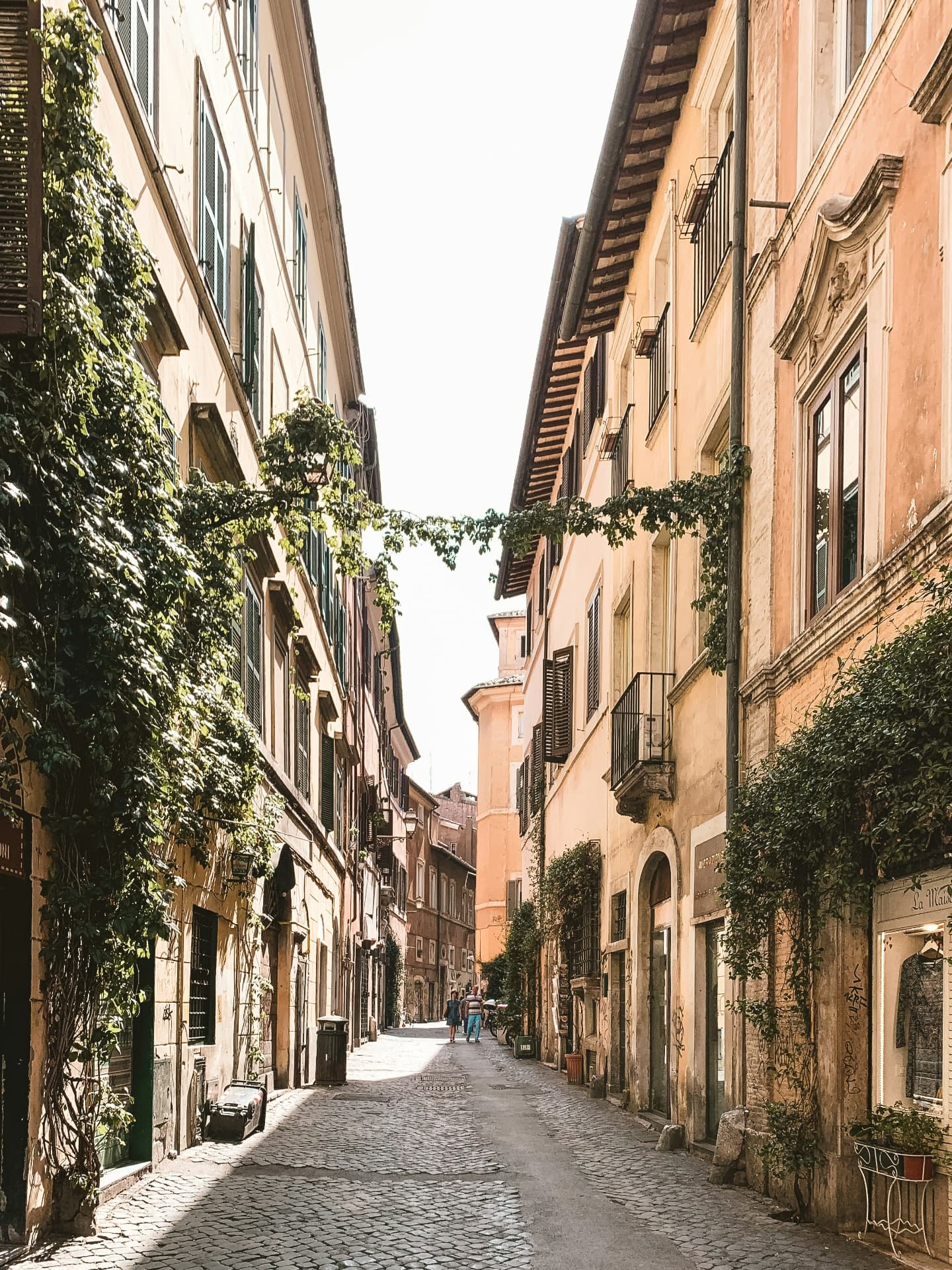 A quiet cobblestone street lined with greenery and old-world charm
