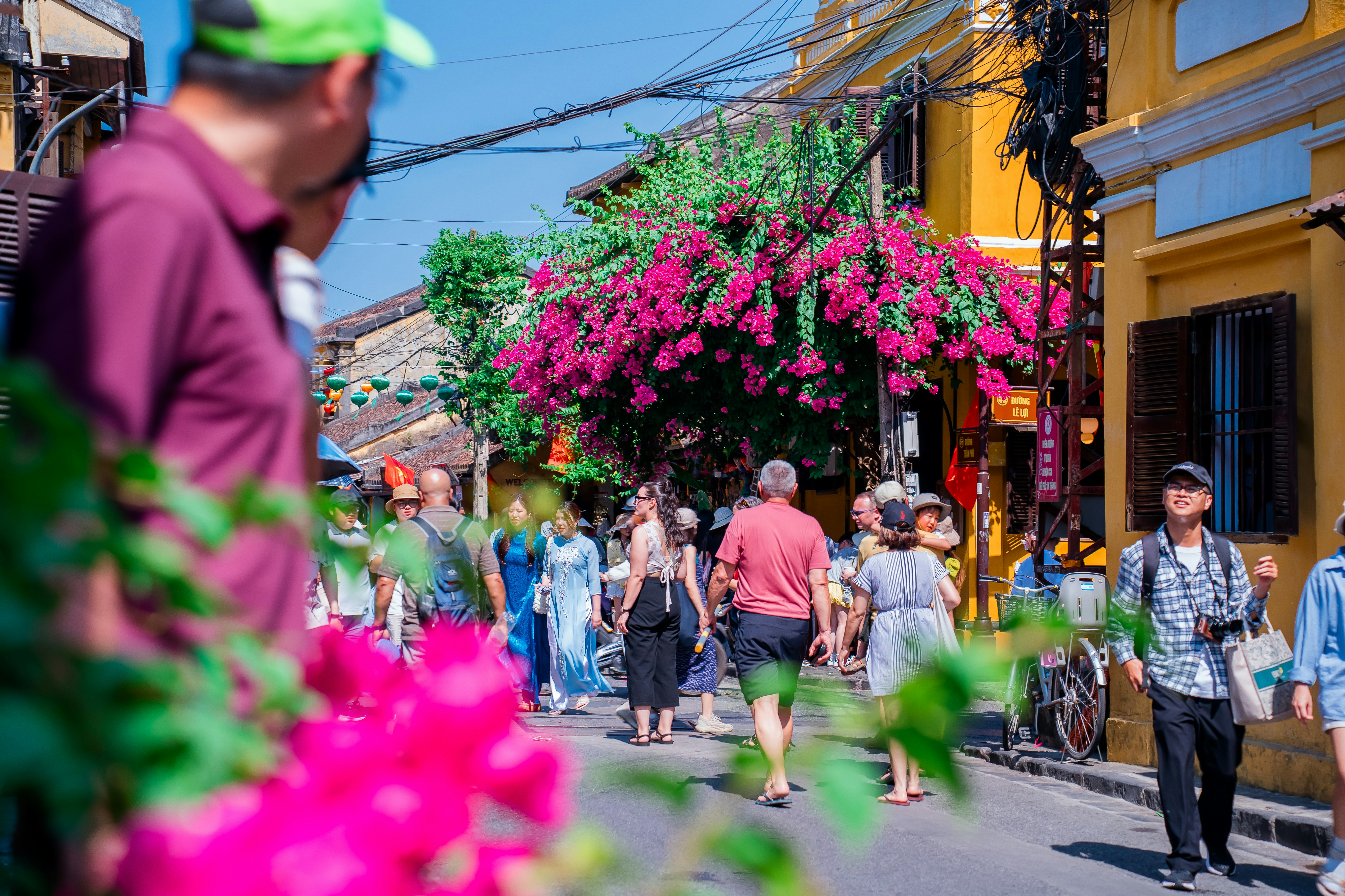 A flower-lined street full of local life