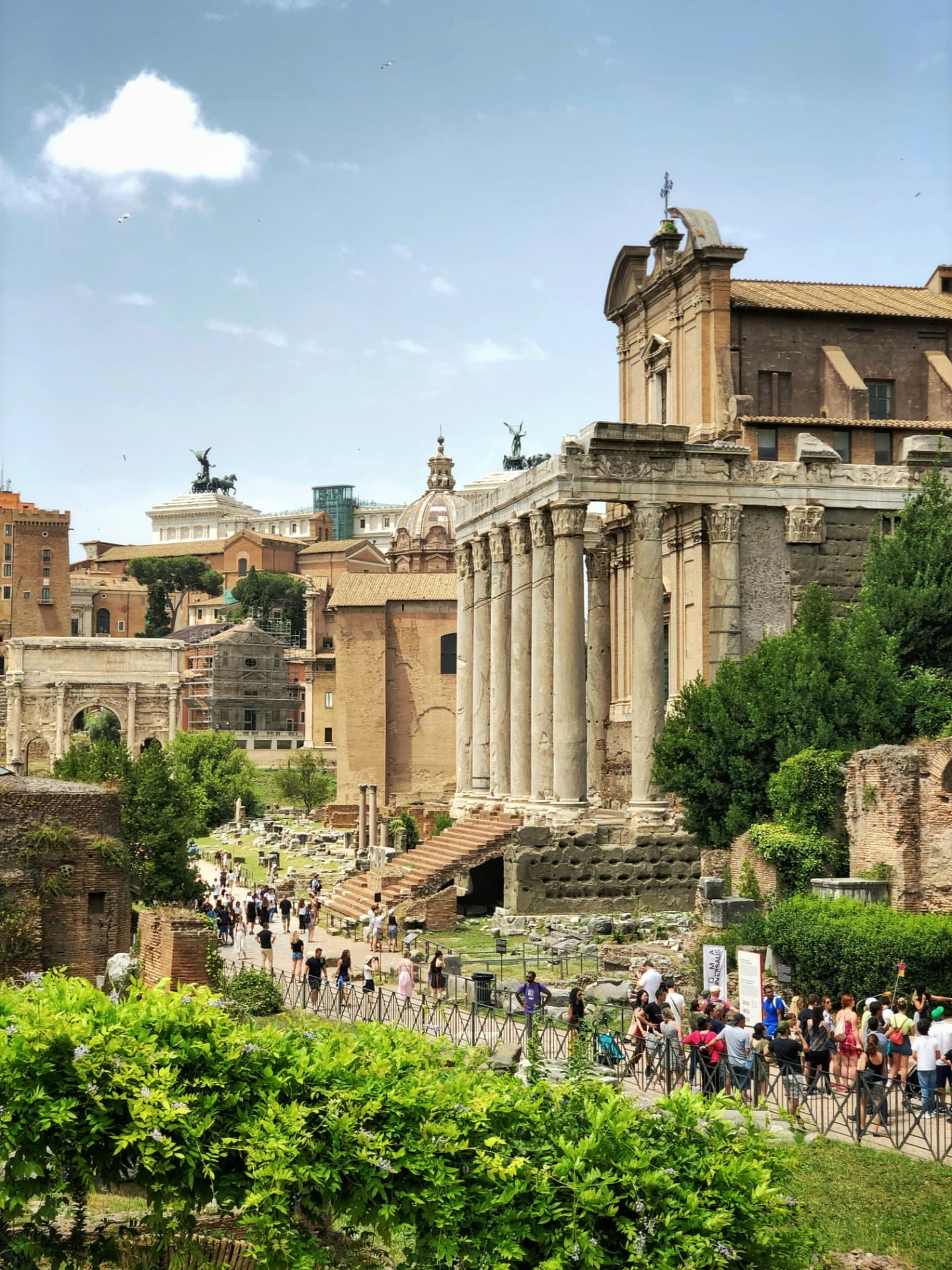 Ancient ruins in the Roman Forum with greenery and the Vittoriano monument beyond
