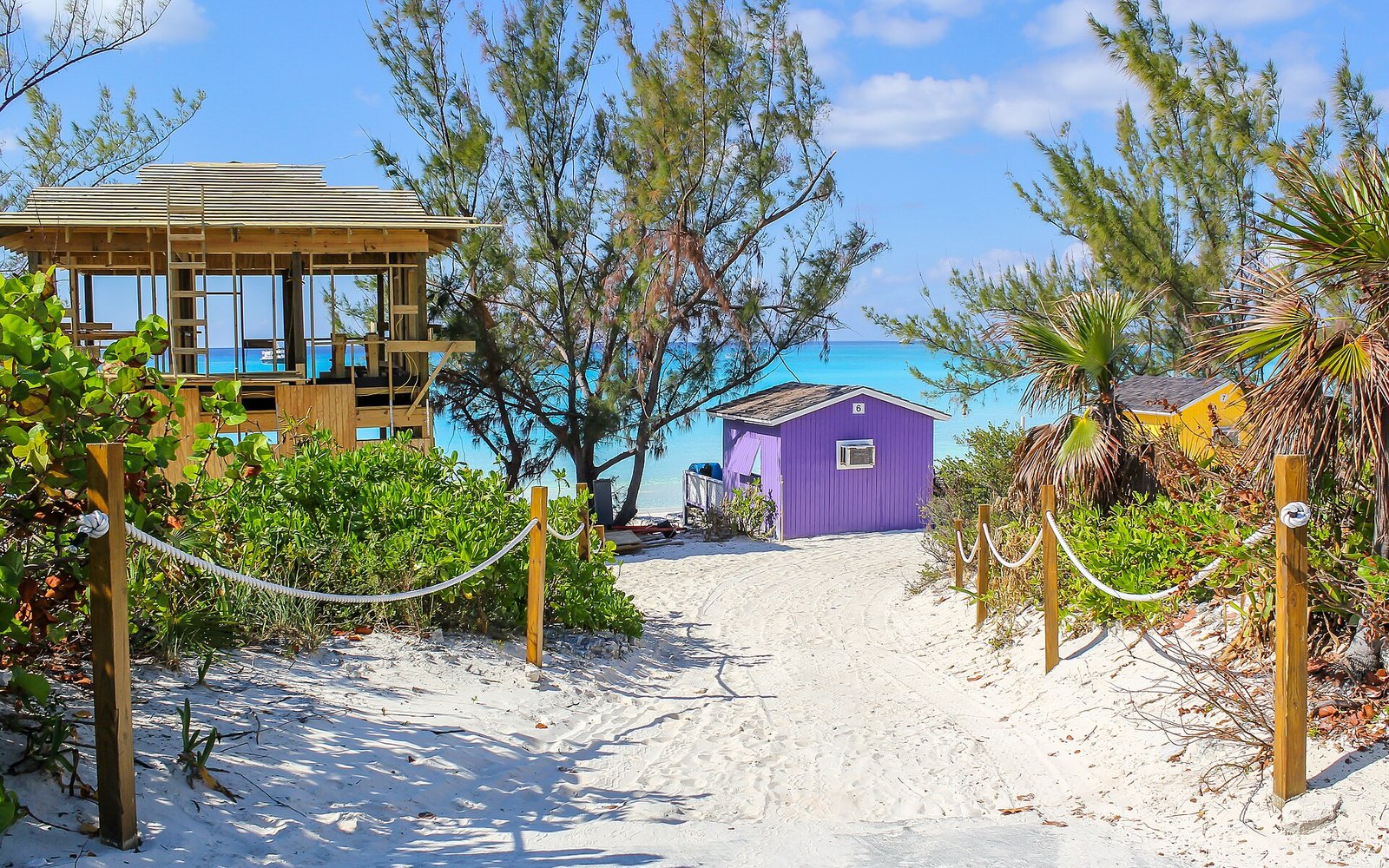 Palm-lined white sand beach at Half Moon Cay, a Bahamas private island port of call